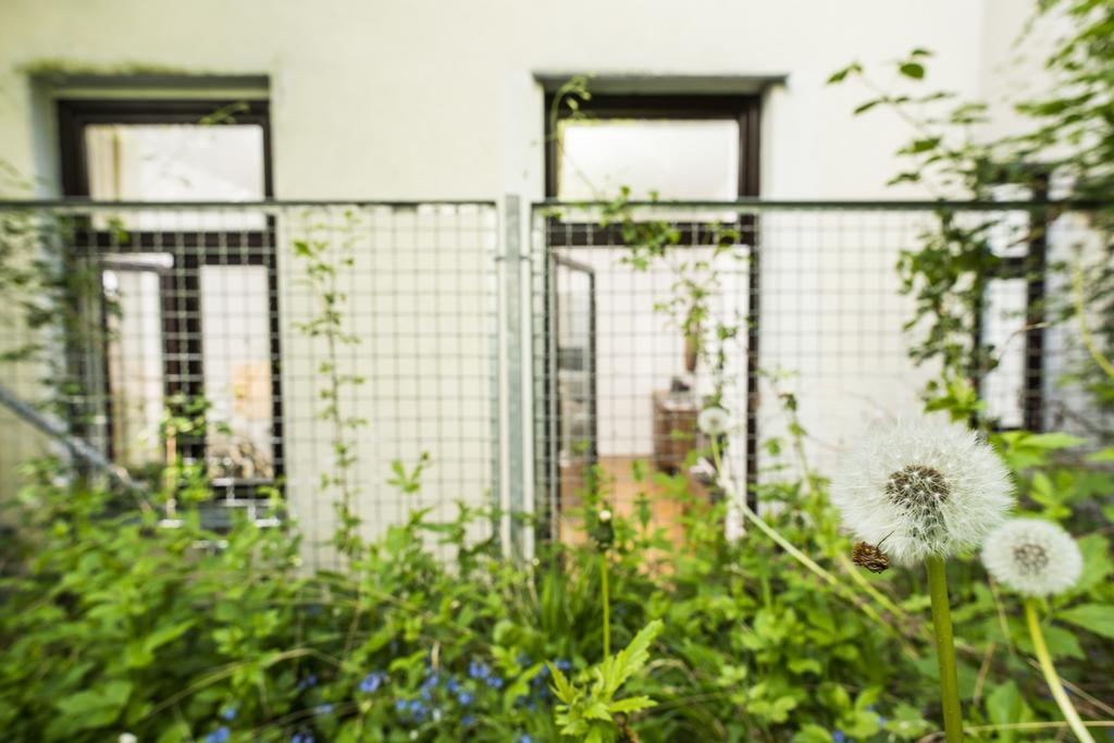 Apartament Chillout Lounge Satzberg Wiedeń Zewnętrze zdjęcie